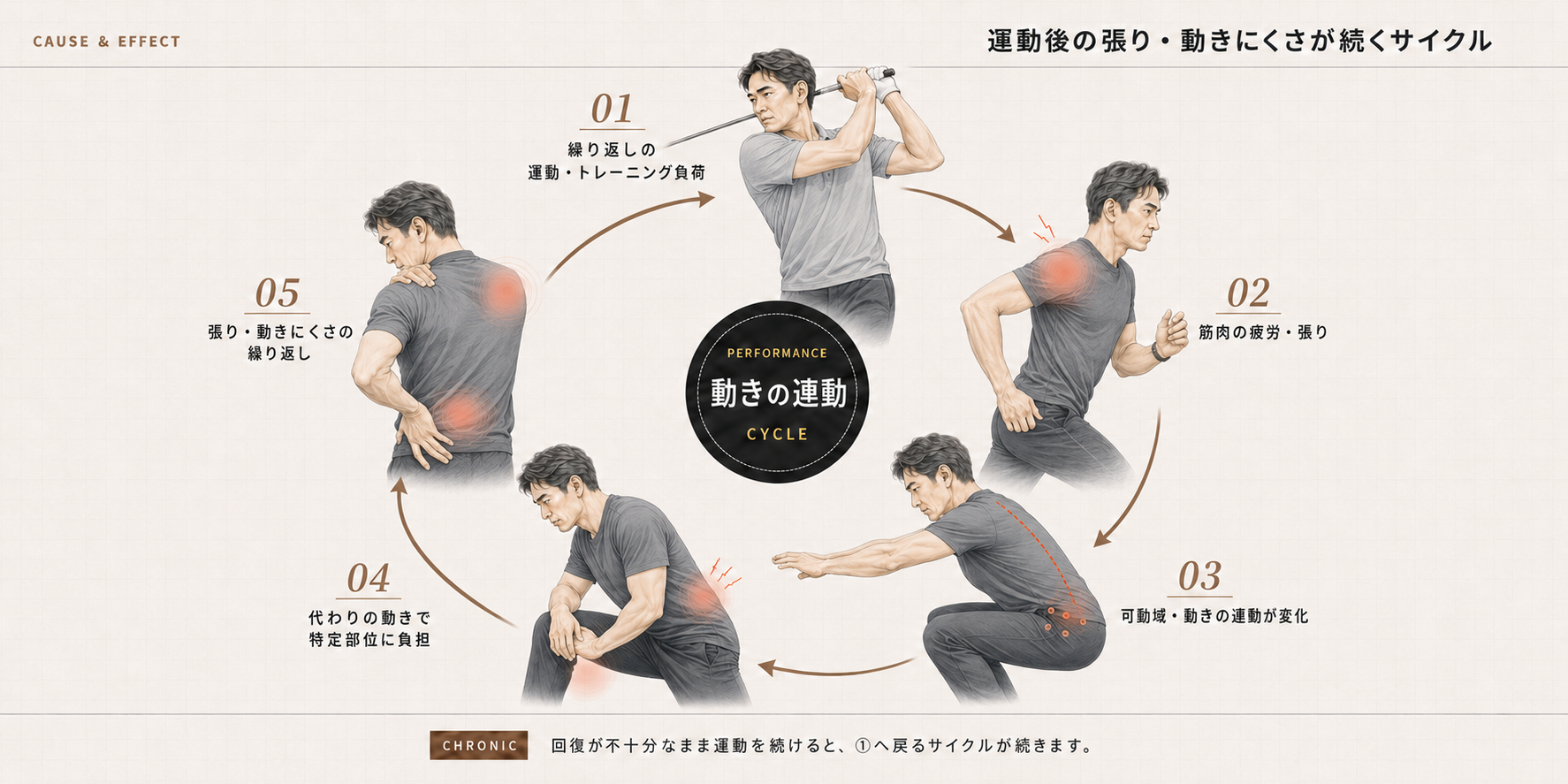 運動後の張り・動きにくさが続くサイクル